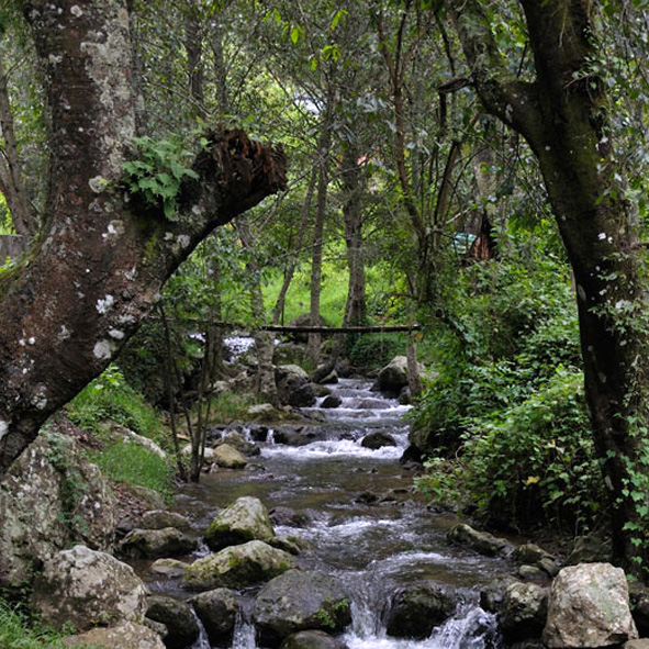 Corredor Turístico Río del Milagro